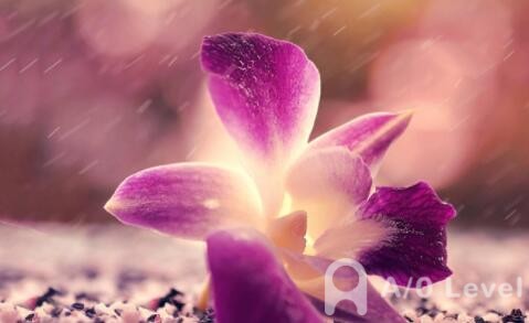 ALevel化学考试备考：什么是Atomic Structure