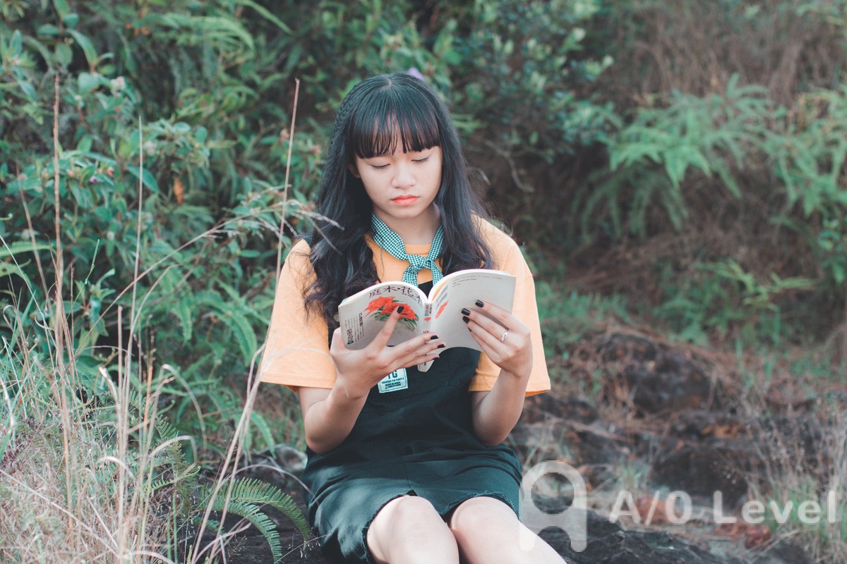 A-level经济考试的高分答题技巧