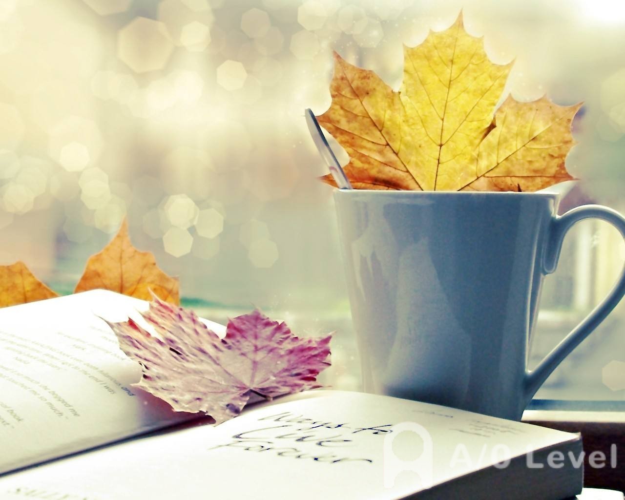 A-Level物理考试高分答题技巧