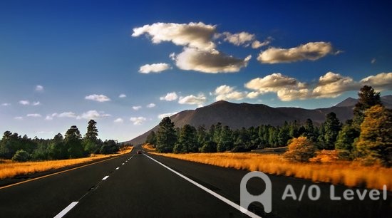 A-Level生物考试备考技巧