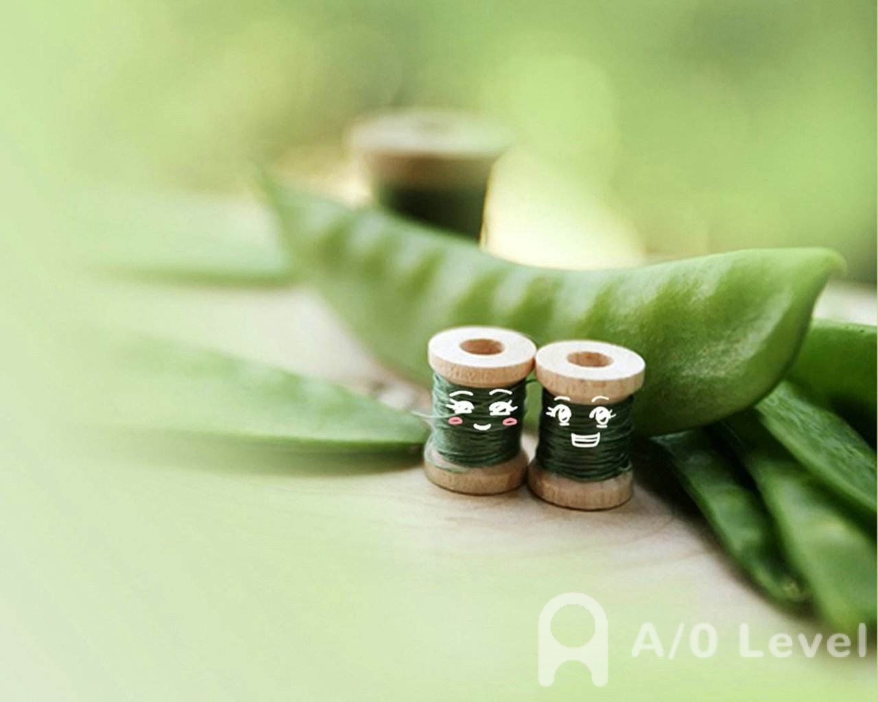 关于A-Level课程你不了解的这些