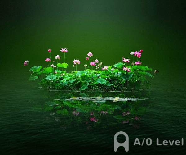 A-Level生物考试知识点：遗传算法