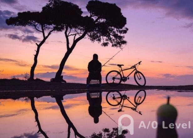 A-level计算机科学考试需要什么知识背景