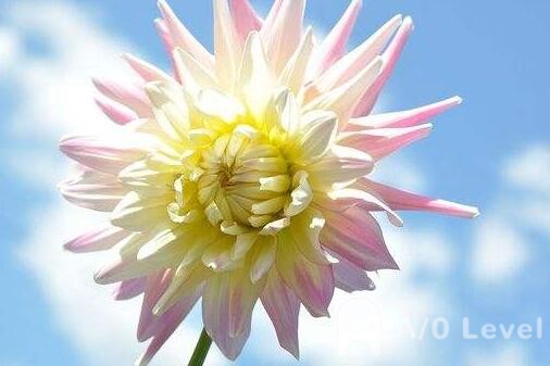 关于A-level考试，这些问题你清楚了吗