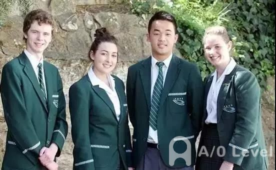 A-Level生物考试知识点：动脉粥样硬化