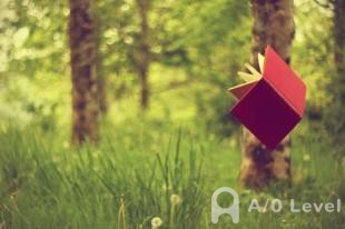 A-level考试选择剑桥IGCSE会计的原因