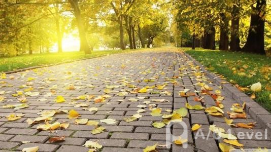 A-level经济考试复习方法介绍