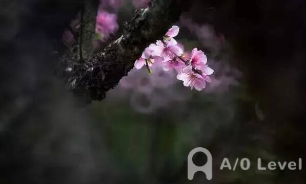 A-Level物理考试关于磁场和电磁感应的介绍