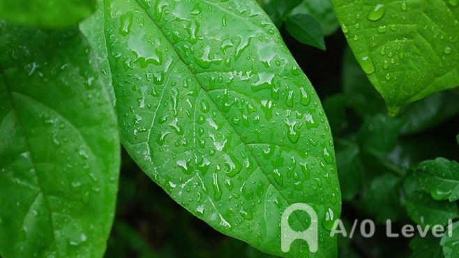 A-Level物理知识点高校记忆方法（2）