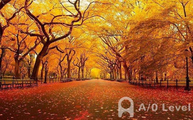 A-Level化学考试备考方法分享