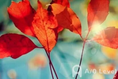 A-Level物理不同题型备考技巧