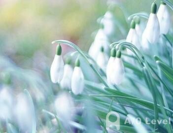 A-Level英语考试备考高级词组盘点