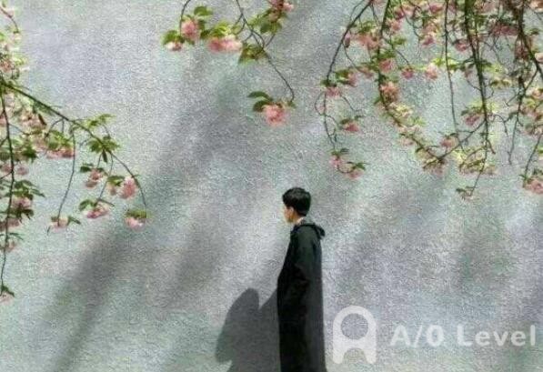 A-Level英语考试备考高级词组盘点（下）