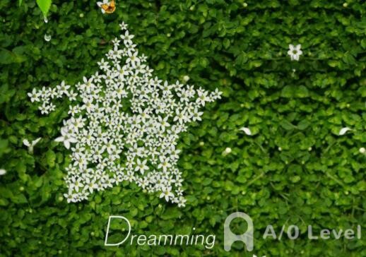 A-Level数学考试答题为何速度慢？