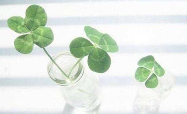 A-Level化学考试答题技巧