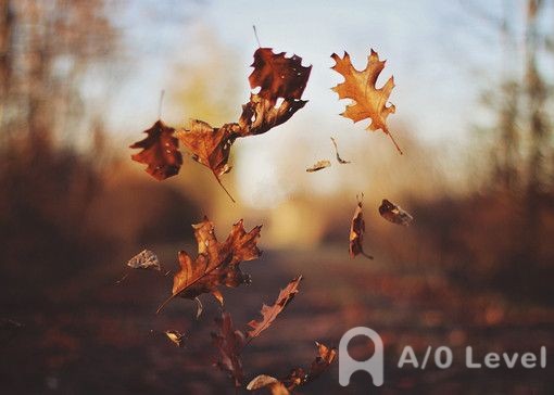 A-level考试备考必看重点高频词（1）