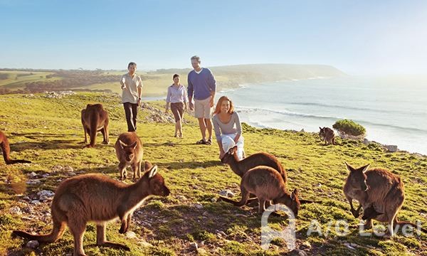 A-level数学考试备考提分技巧分享