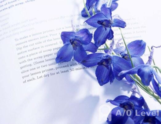 A-Level数学考试备考：二次函数与一元二次方程