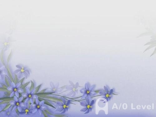 备考O-level物理考试关于力学的知识点