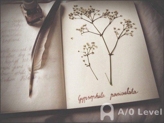 O-level数学考试备考技巧，不容错过！