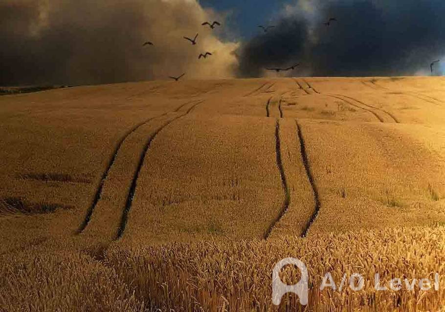 A-Level物理考试实验题：研究平抛运动