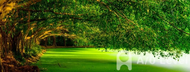 A-Level物理知识点：物体的受力分析