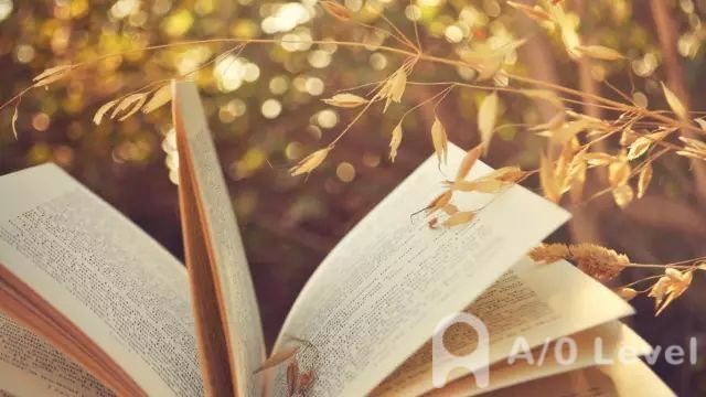 A-level物理考试直线运动知识点介绍（2）