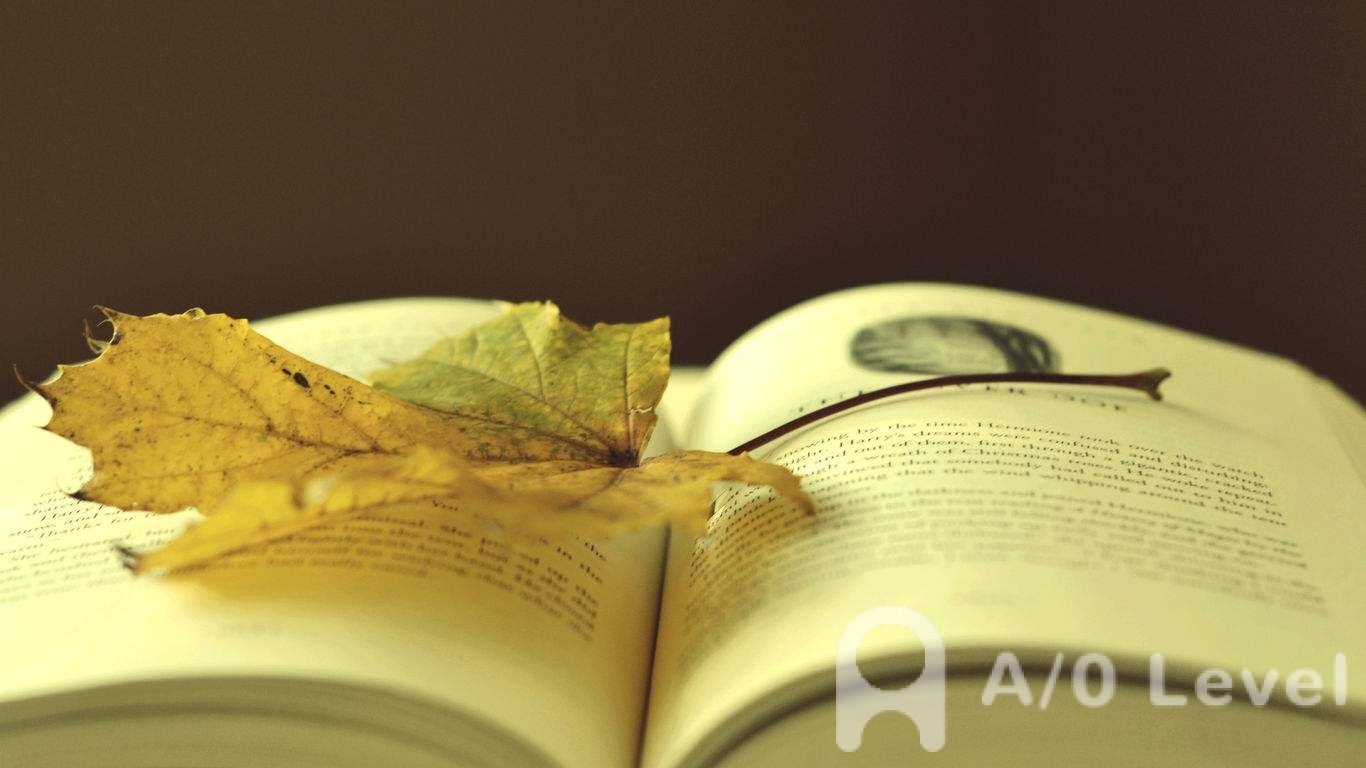 A-level数学考试如何快速提高成绩（下）