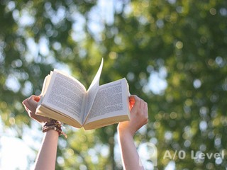 O-level化学考试必看：锌锰干电池