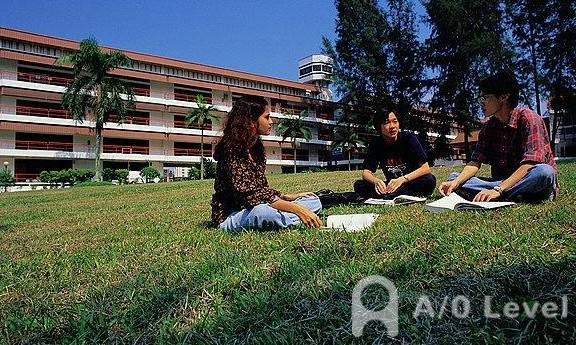 A-Level数学考试备考要注意培养逻辑思维能力