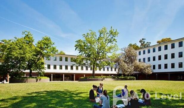 O-Level生物考试你应该学会的东西（1）