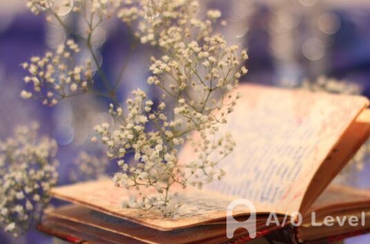 A-Level化学考试基本理论测试（1）