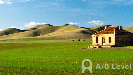 A-level生物考试人和高等动物的神经调节语句