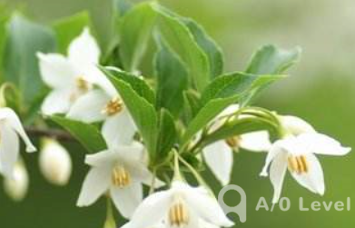 O-level数学考试三角恒等变形公式大全下