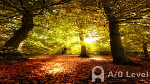 A-level物理学习,A-level考试,A-level考试排名