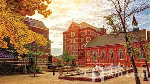 A-level物理学习,A-level考试,A-level考试排名