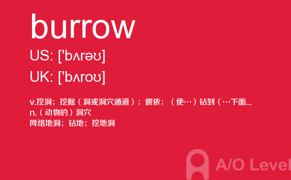 【burrow】 - A/O-level备考词汇