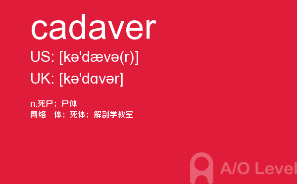 【cadaver】 - A/O-level备考词汇